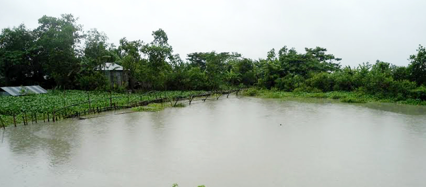 পানিতে নিমজ্জিত আমতলী উপজেলার একটি গ্রাম ও পাশের সবজি থেত আজ সোমবার দুপুরে তোলা ছবি-আয়না২৪